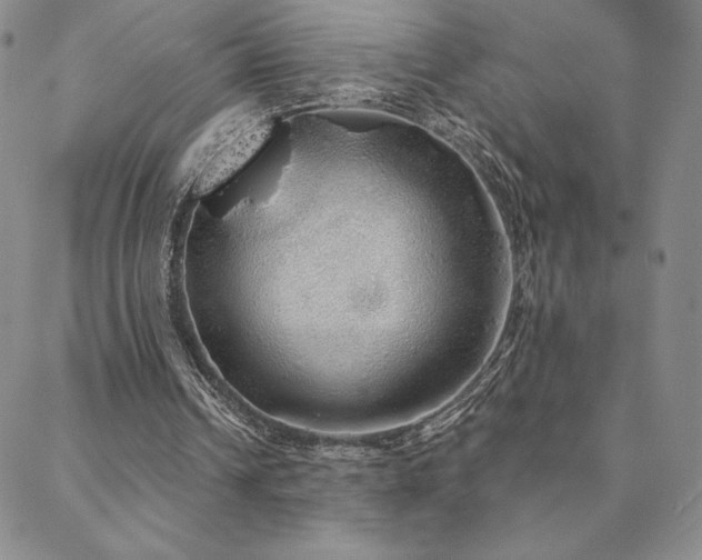 X0000088590242200705251156