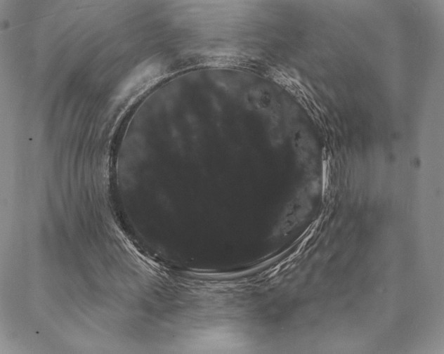 X0000088590243200705251156