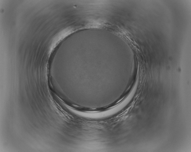 X0000088590244200705251156