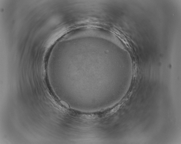 X0000088590245200705251156