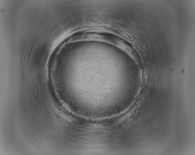 X0000088590246200705251156