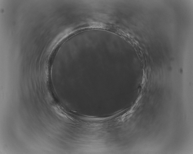 X0000088590247200705251156