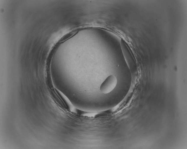 X0000088590248200705251156