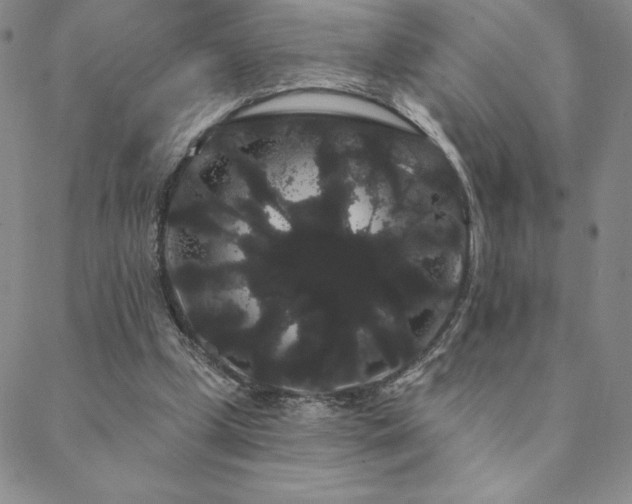 X0000088590249200705251156