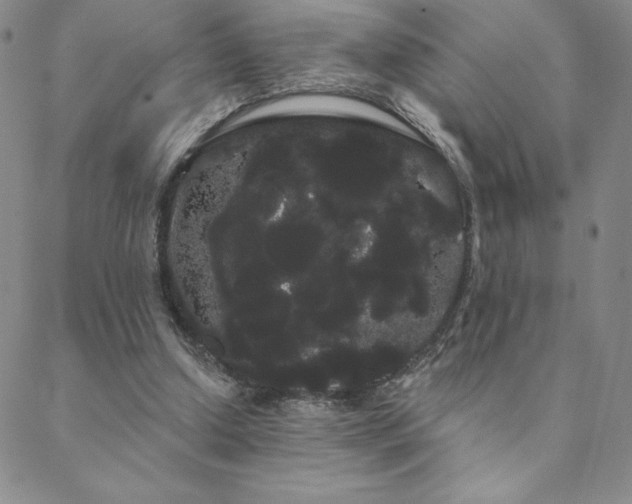 X0000088590250200705251156