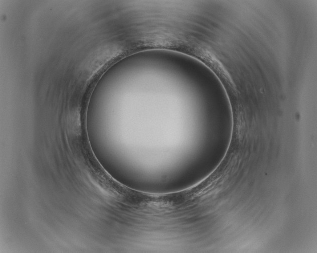 X0000088590251200705251156