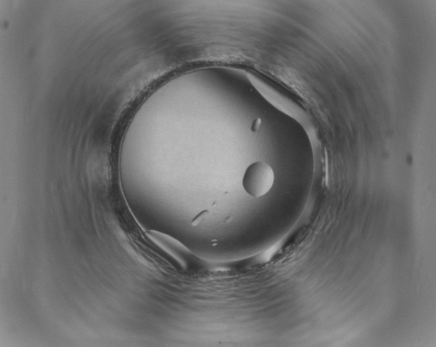 X0000088590252200705251156