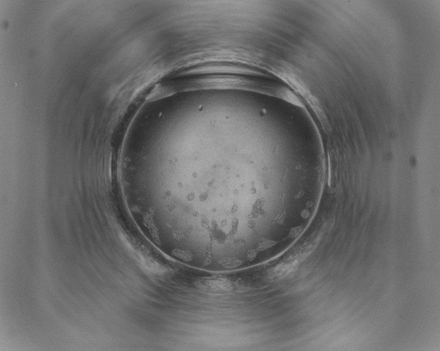 X0000088590253200705251156