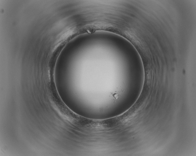 X0000088590254200705251156