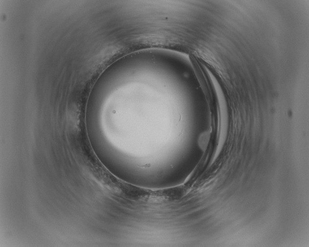 X0000088590255200705251156