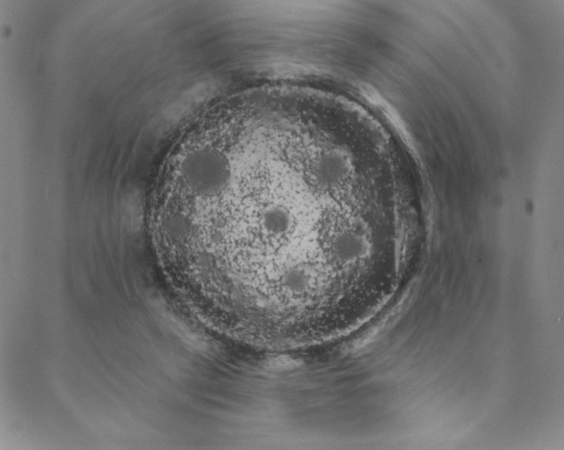 X0000088590257200705251156