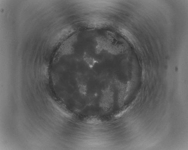 X0000088590258200705251156