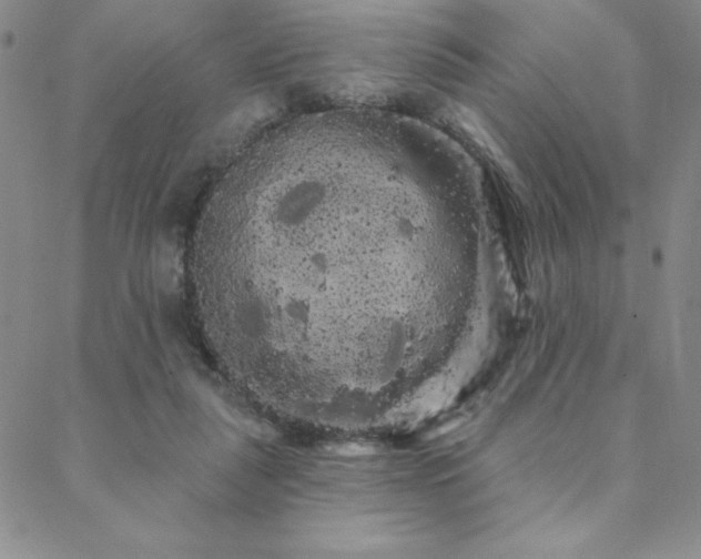 X0000088590259200705251156