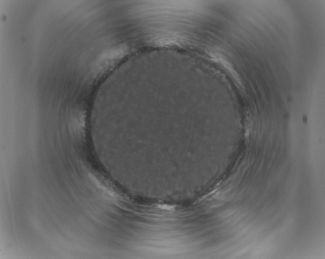 X0000088590260200705251156