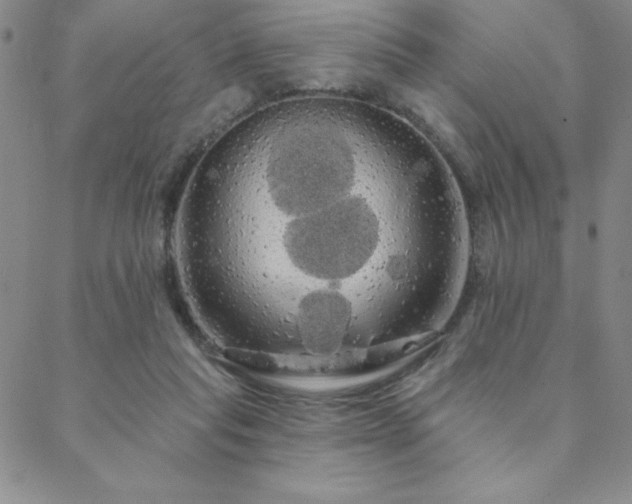 X0000088590261200705251156