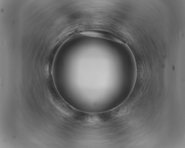 X0000088590262200705251156