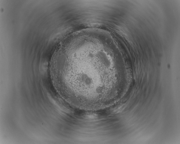 X0000088590263200705251156