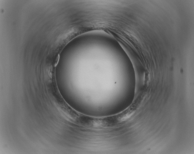 X0000088590264200705251156