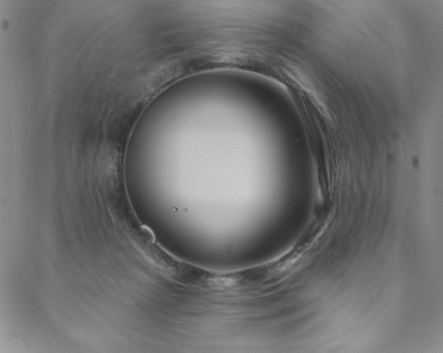 X0000088590265200705251156