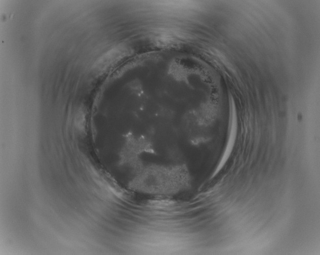 X0000088590266200705251156