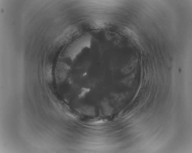 X0000088590267200705251156