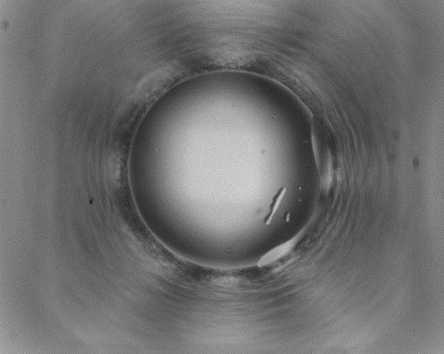 X0000088590268200705251156