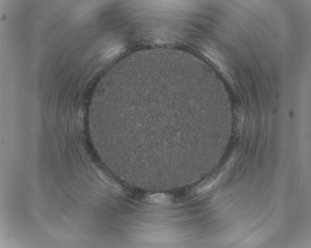 X0000088590269200705251156