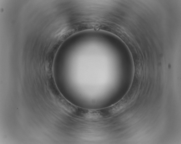 X0000088590270200705251156