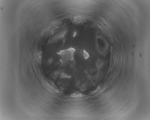 X0000088590271200705251156