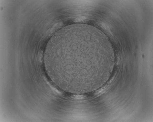 X0000088590273200705251157