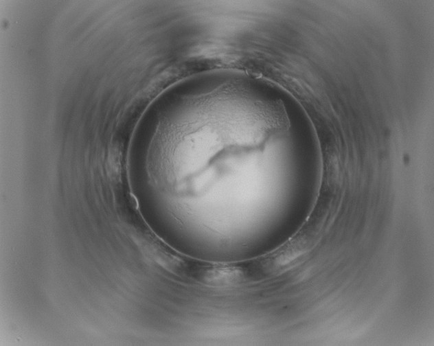 X0000088590274200705251157