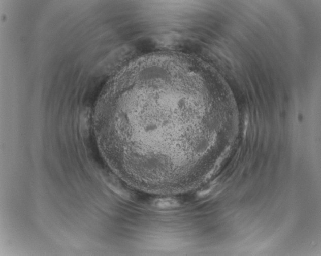 X0000088590275200705251157