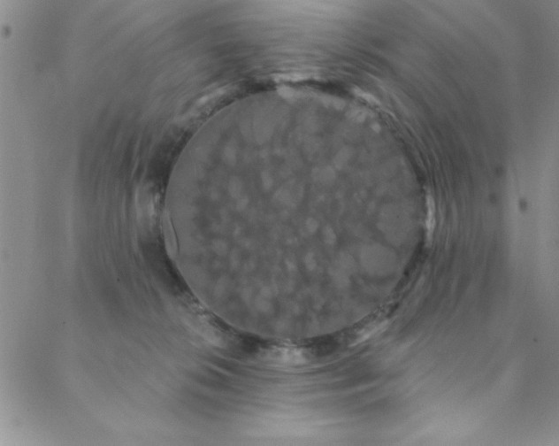 X0000088590276200705251157