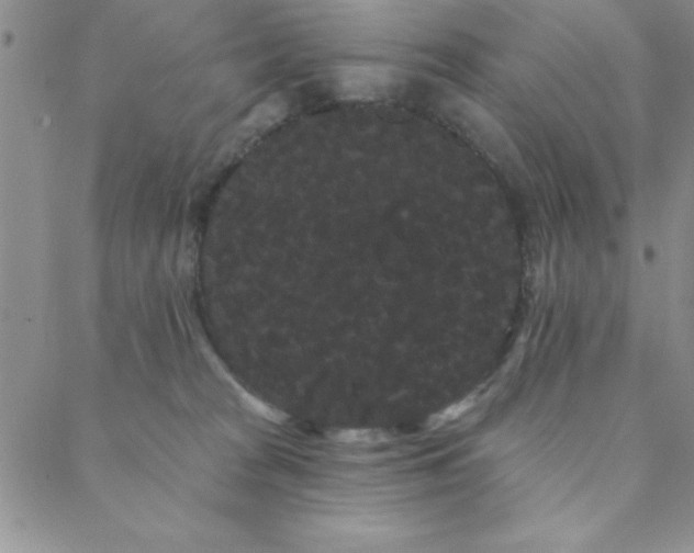 X0000088590277200705251157