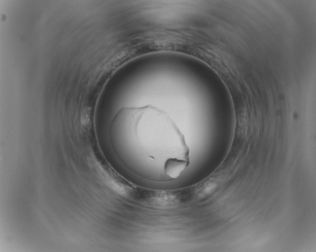 X0000088590278200705251157