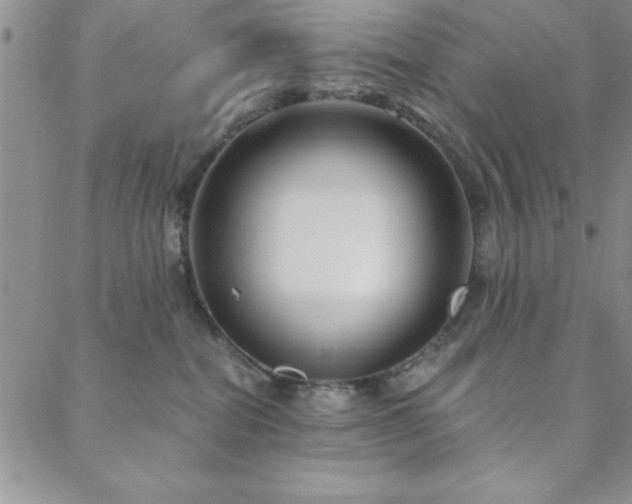 X0000088590282200705251157