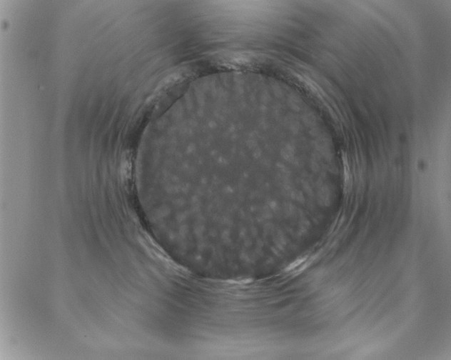 X0000088590284200705251157