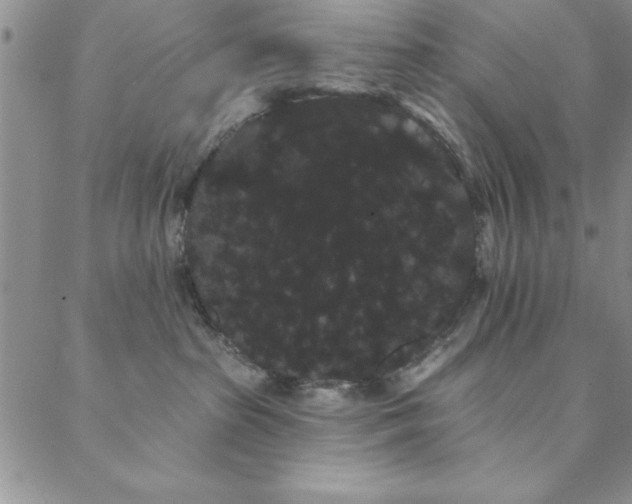 X0000088590285200705251157