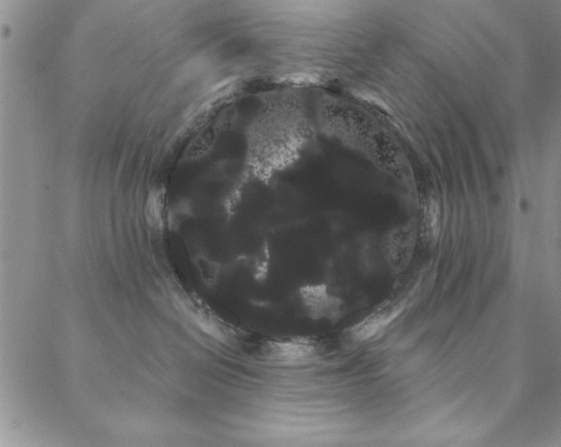 X0000088590286200705251157