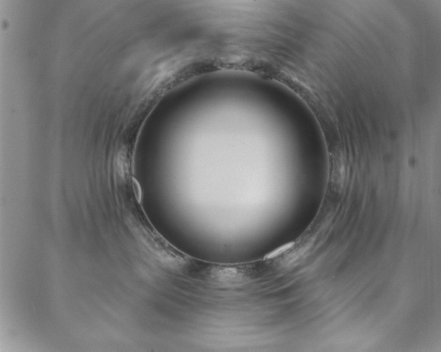 X0000088590287200705251157