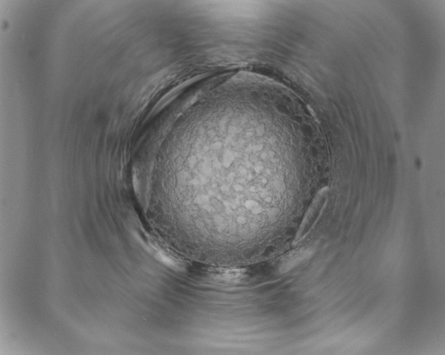 X0000088590288200705251157