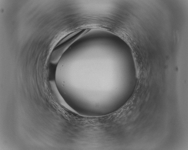 X0000088590289200705251156