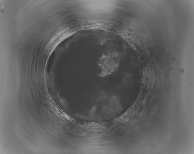 X0000088590290200705251156