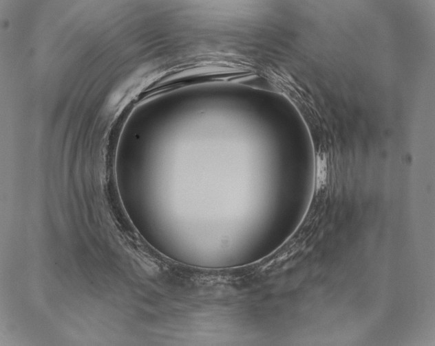 X0000088590291200705251156