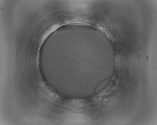 X0000088590292200705251156