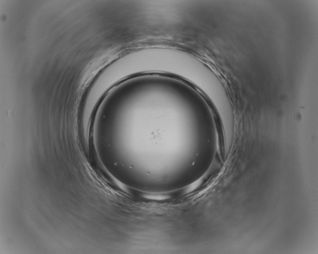 X0000088590293200705251156