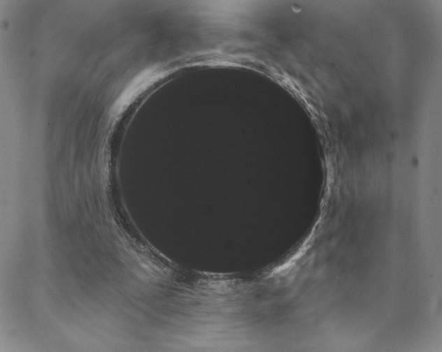 X0000088590295200705251156