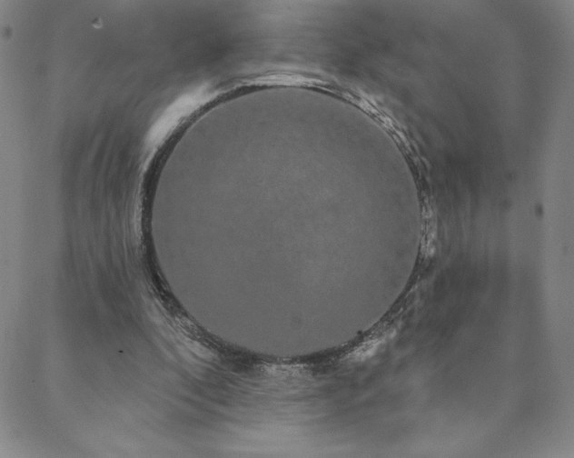 X0000088590296200705251156