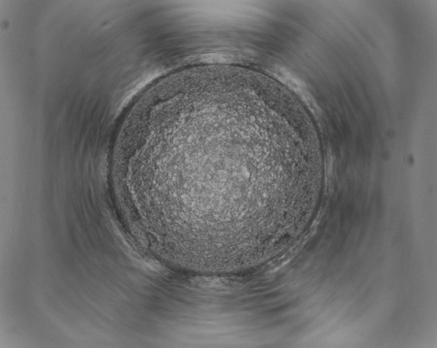 X0000088590297200705251156