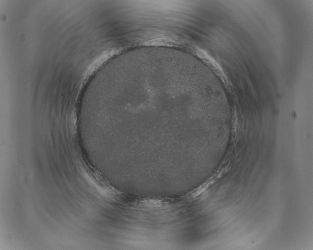 X0000088590298200705251156